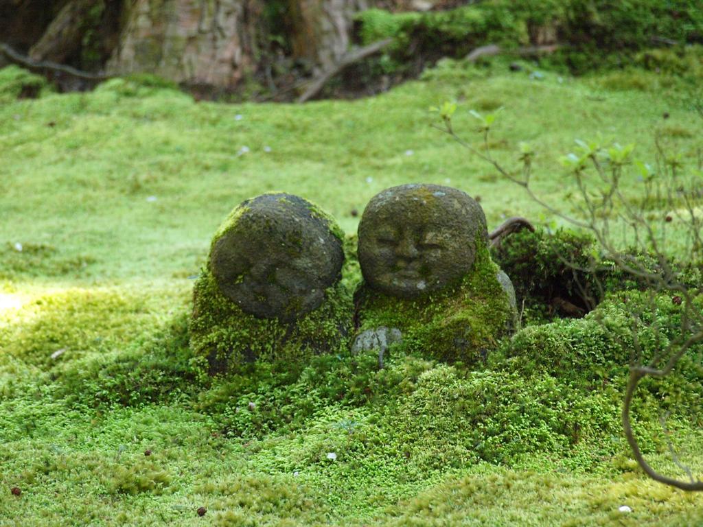 Hotel M'S Est Shijo Karasuma Kyoto Dış mekan fotoğraf