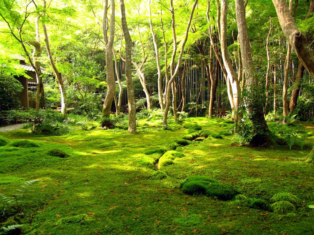 Hotel M'S Est Shijo Karasuma Kyoto Dış mekan fotoğraf